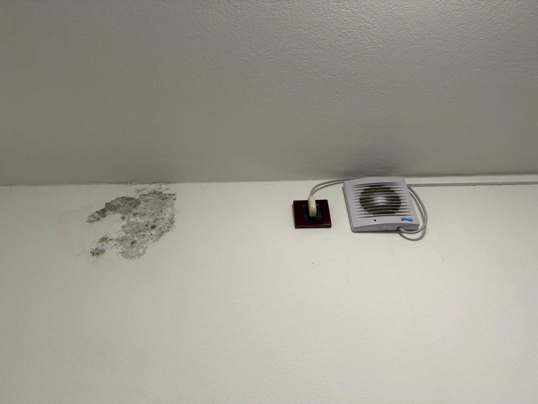 Albergo Stella d'Oro-官方