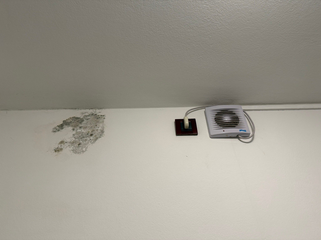 Albergo Stella d'Oro主图