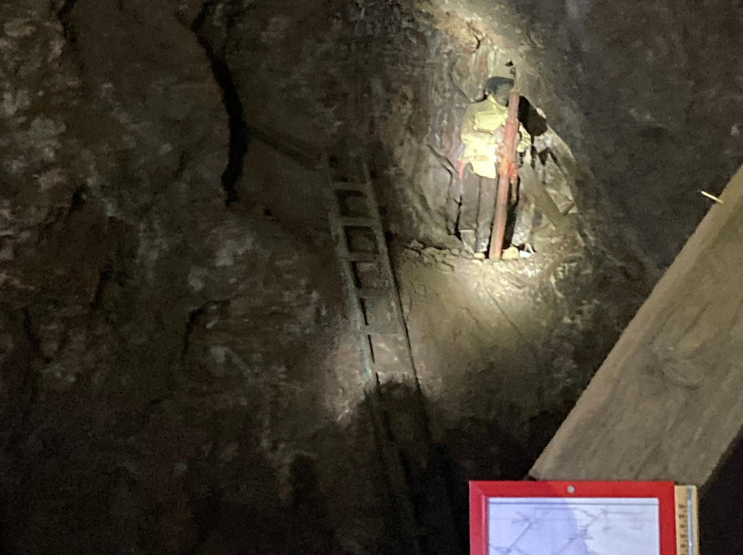 Copper Queen Mine Tour-比斯比必去景点