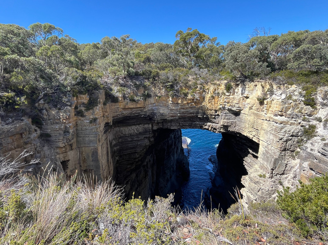Tasmans Arch-伊格尔霍克内克必去景点