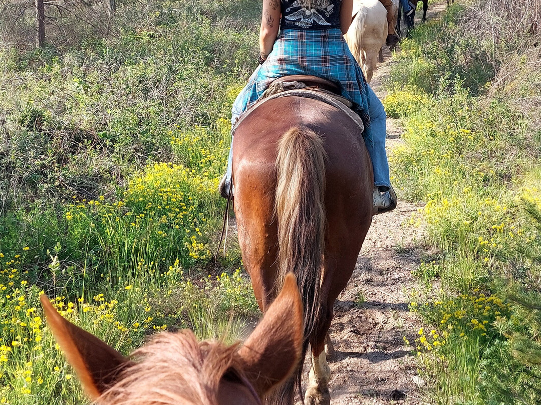 Swan Mountain Outfitters-Swan Lake必去景点