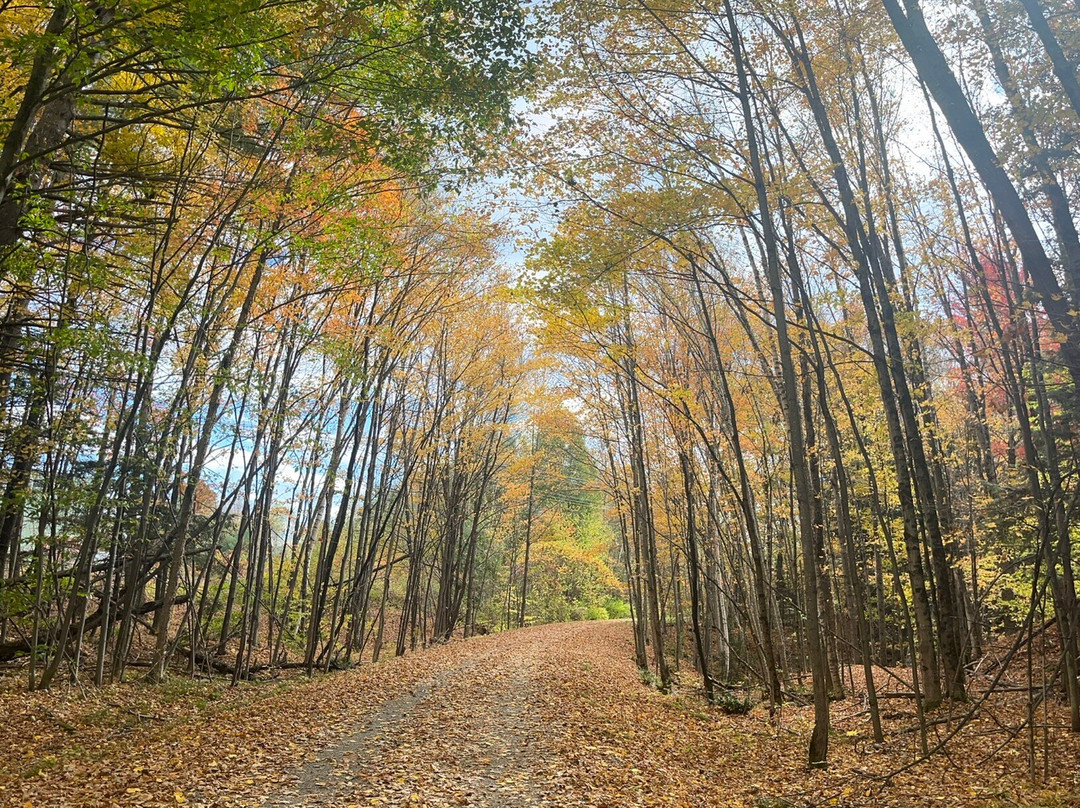 Lamoille Valley Bike Tours-Johnson必去景点
