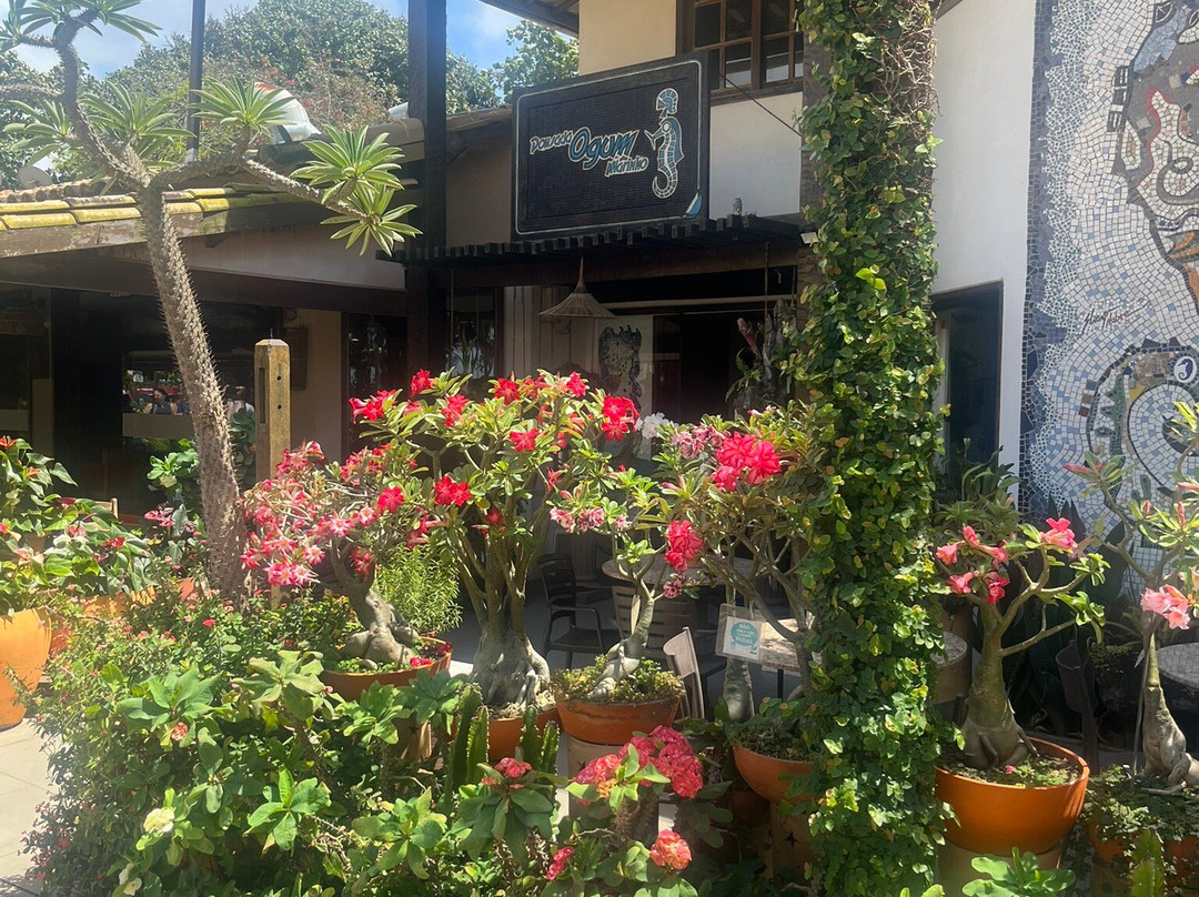 Pousada Ogum Marinho主图