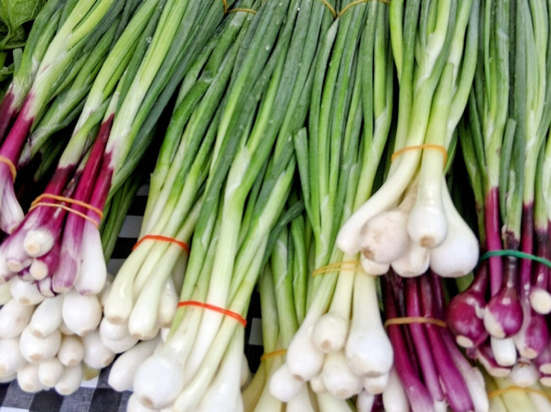 Oshkosh Farmers Markets-奥什科什必去景点