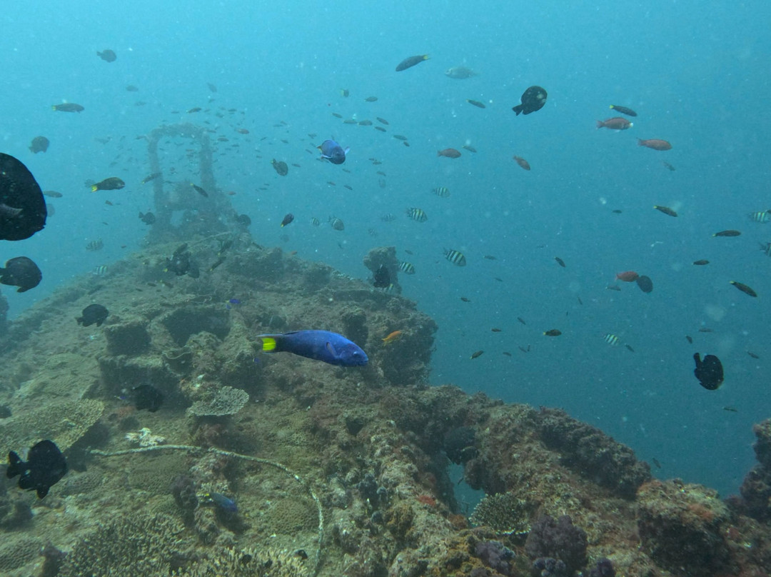 Scuba World-穆鲁拉巴必去景点