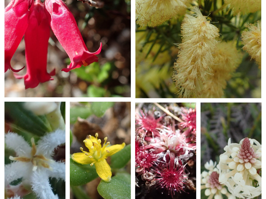 Tasmanian Expeditions-Invermay必去景点