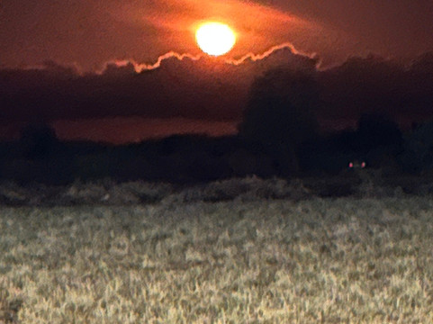 Bush Dwellers Kenya-迪亚尼必去景点