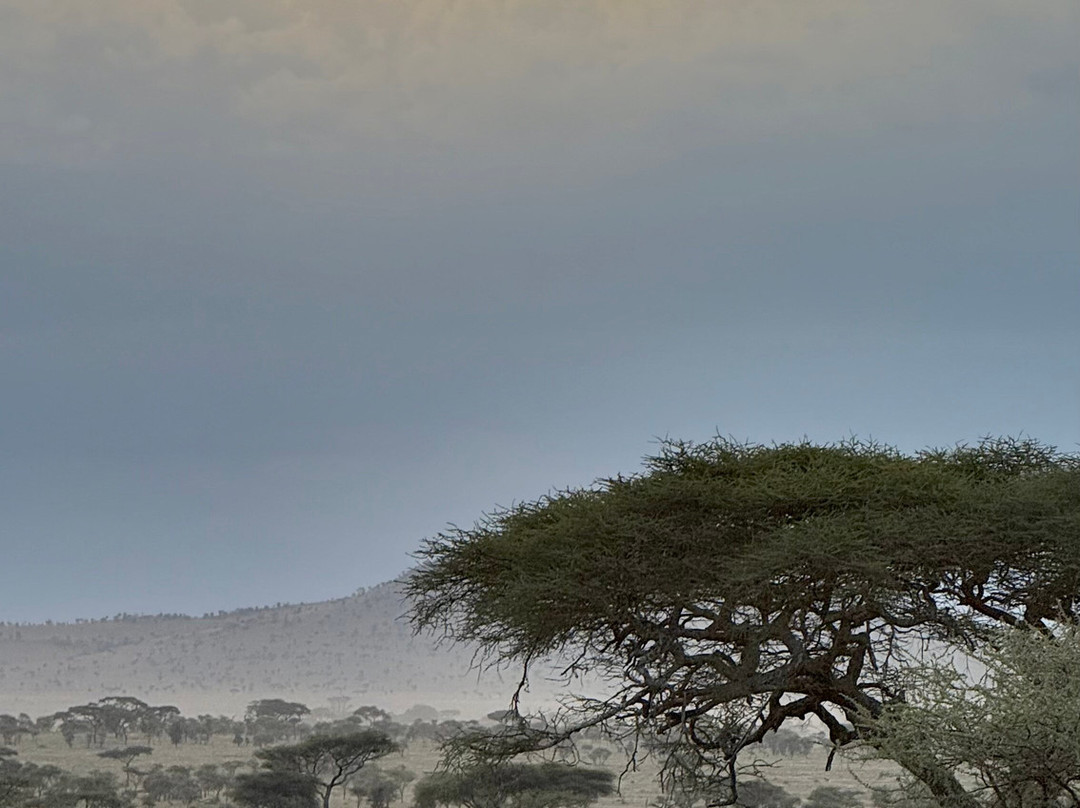 Travel Africa Safari Agency-Usa River必去景点