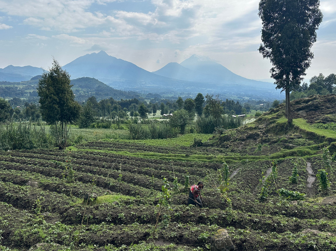 INZOZI Tours-吉佳利必去景点