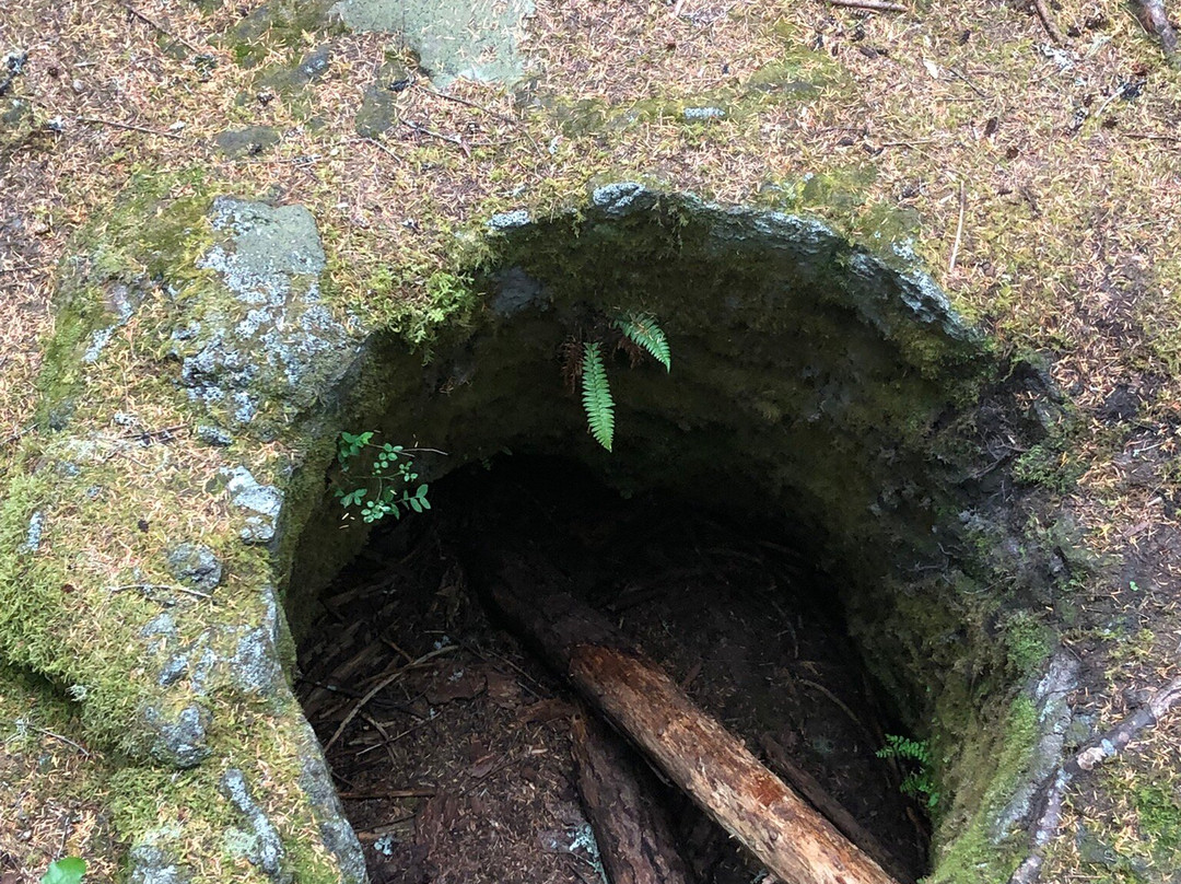 Ape Cave Lava Tubes-长景市必去景点