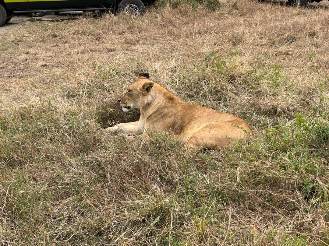 Umarella voyage safaris-恩德培必去景点