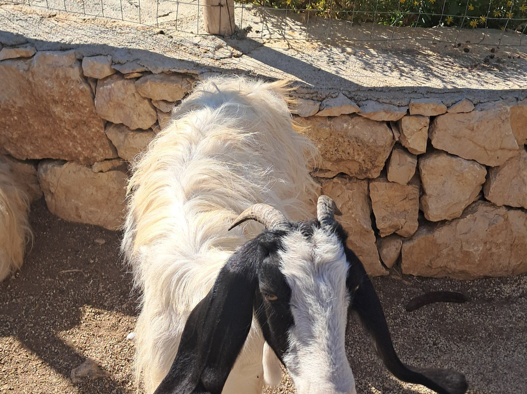 Rifugio Domo Mea-Olmedo必去景点
