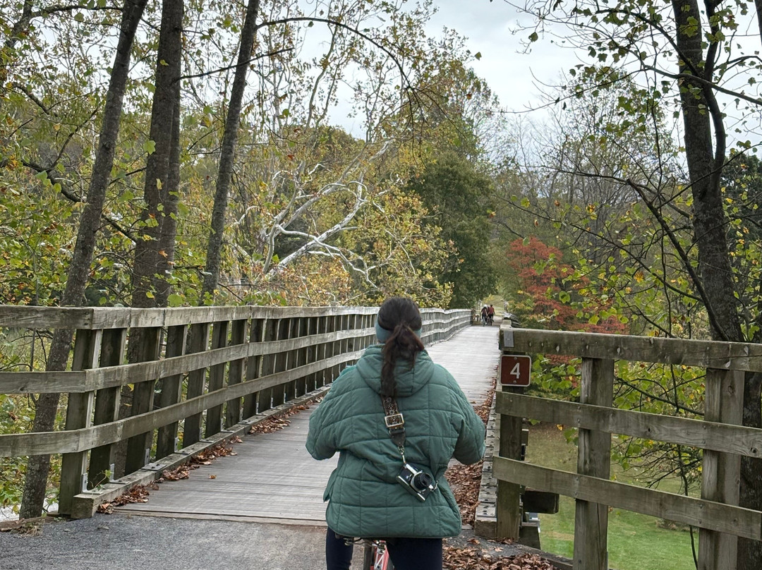 Adventure Damascus Bicycles-Damascus必去景点
