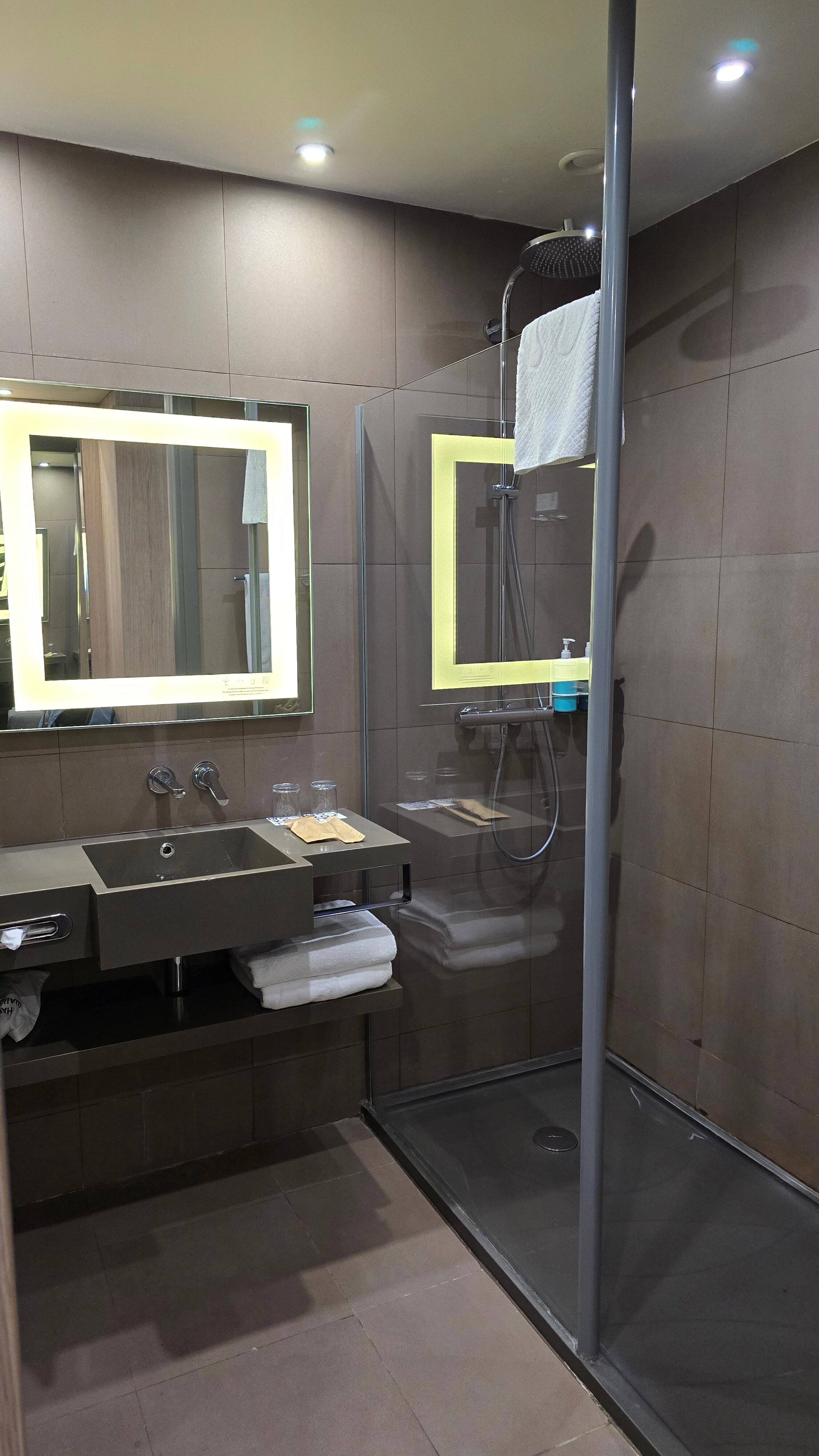 Novotel Almaty City Center-浴室