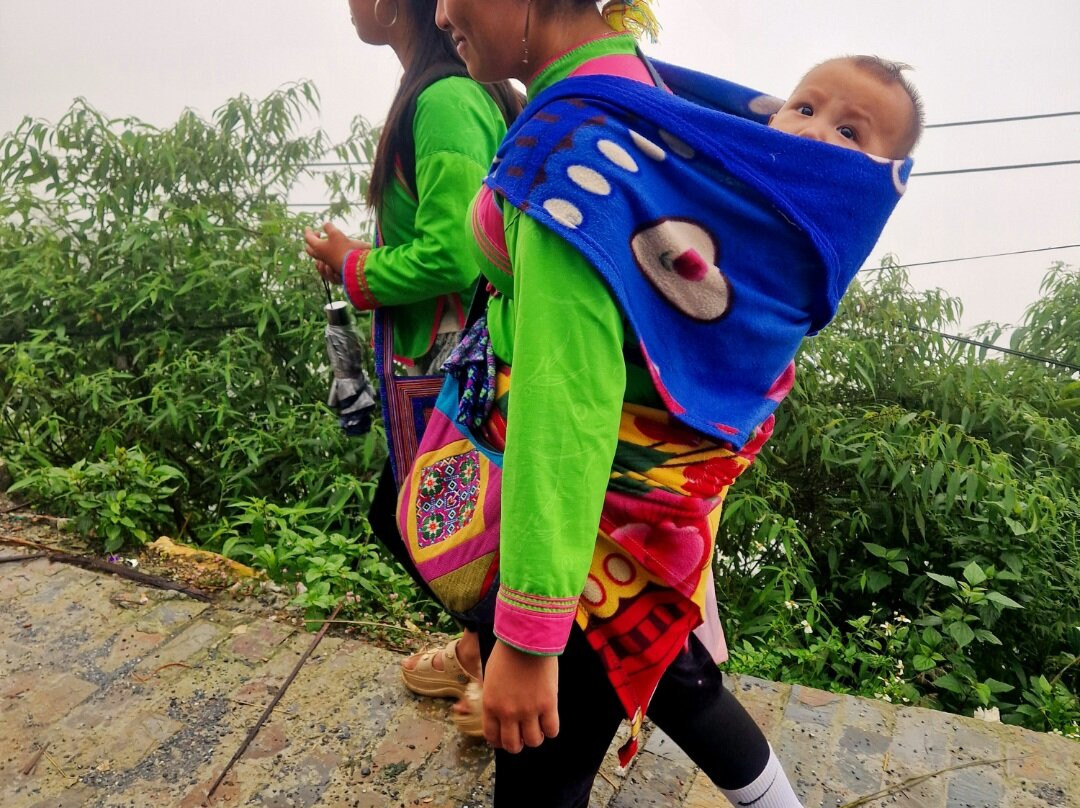 Viet Beauty Tours-河内必去景点