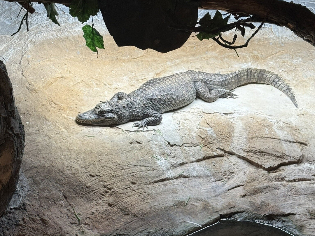 Natureland Seal Sanctuary-斯凯格内斯必去景点