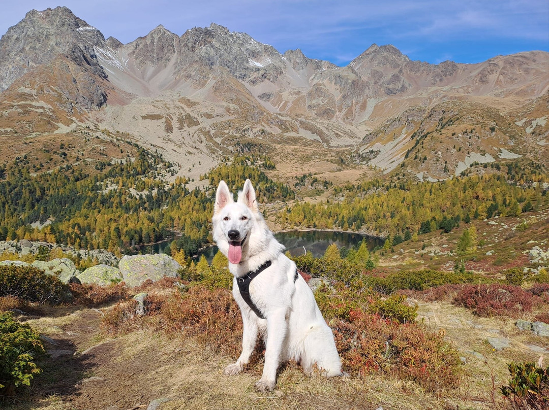 Lago Di Saoseo-Poschiavo必去景点