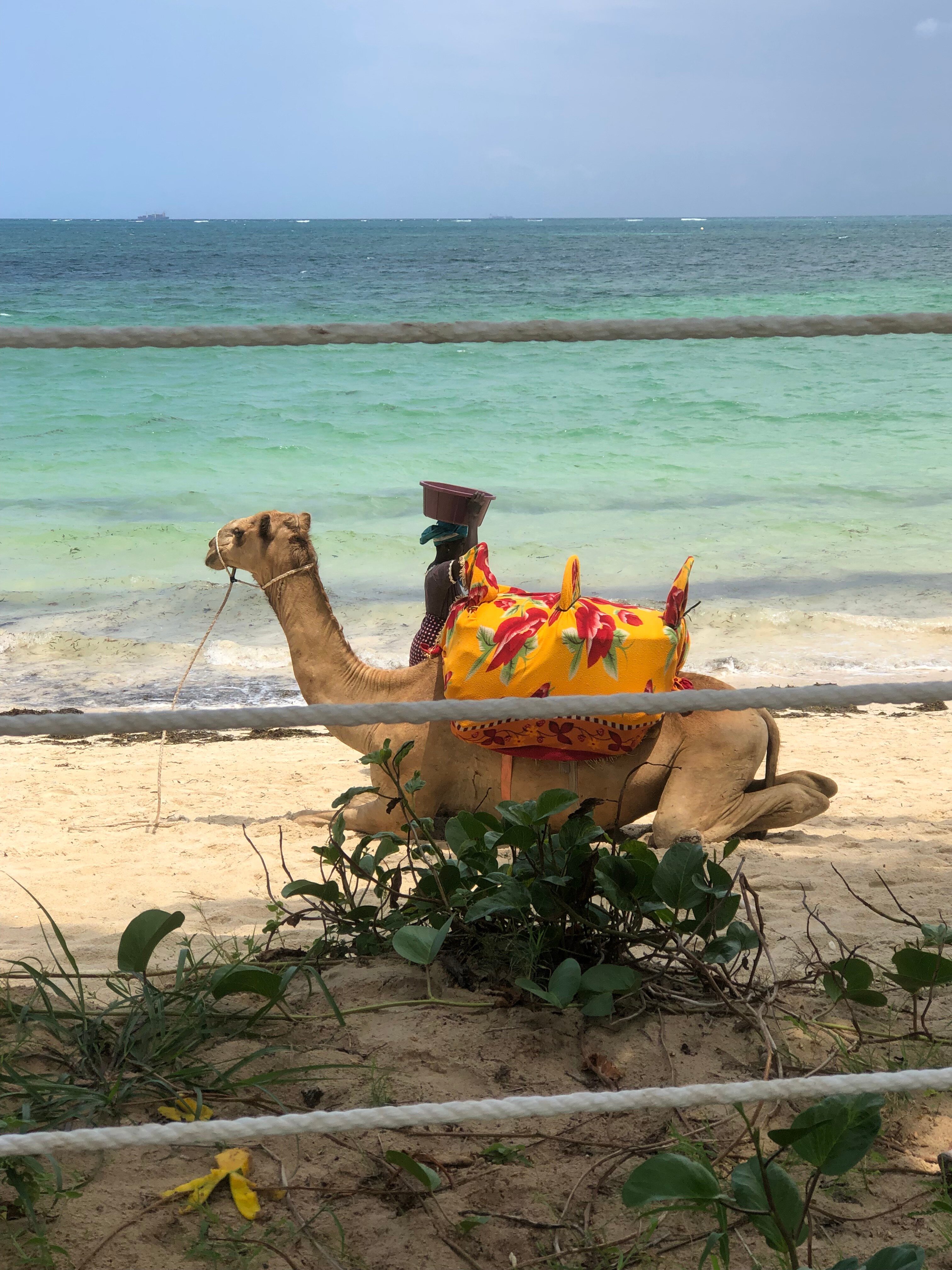 萨罗瓦白沙海滩度假Spa酒店-泳池