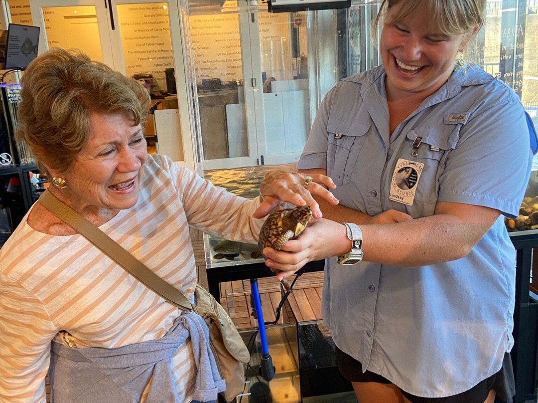 Tybee Island Marine Science Center-泰碧岛必去景点