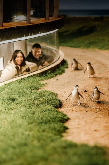 A Petite Tour-墨尔本必去景点