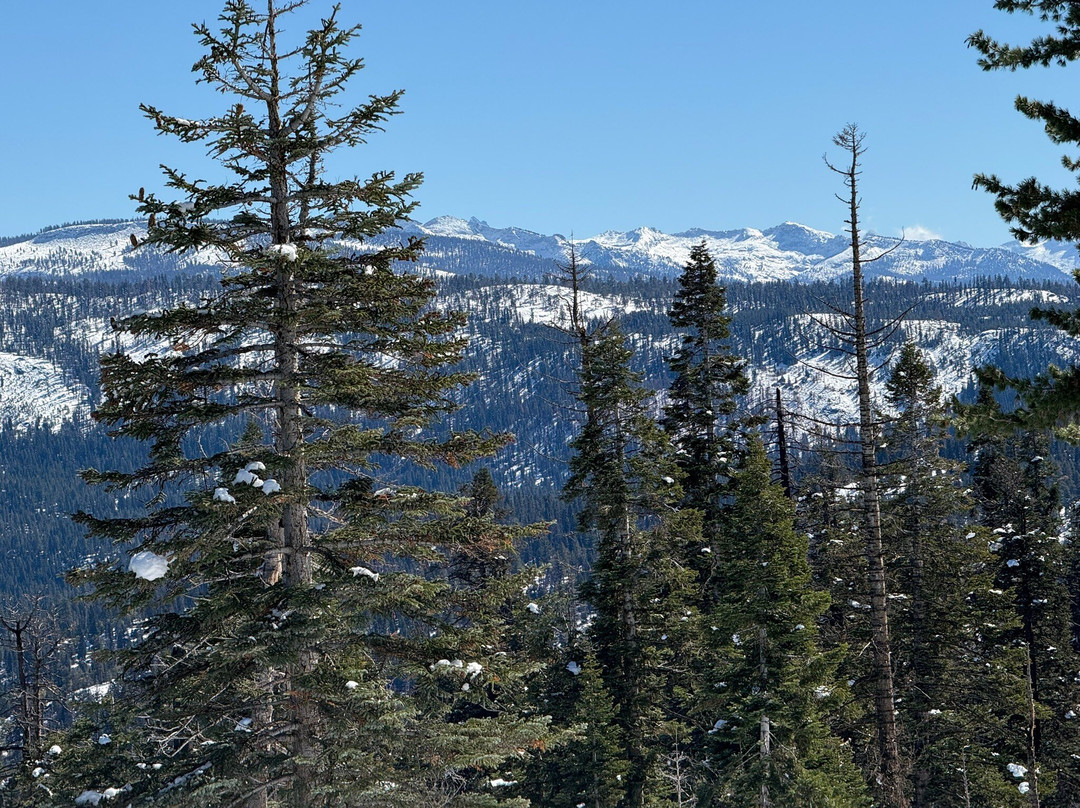 Panoramic Point-红杉&国王峡谷国家公园必去景点