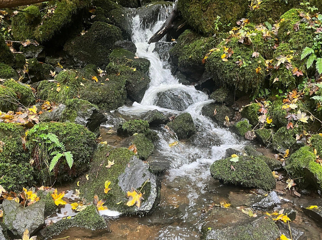 NaturPurHotel Maarblick主图