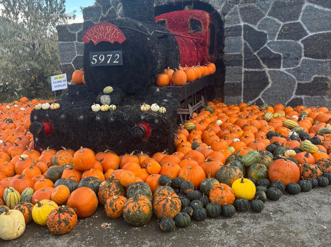 Desert Hills Ranch-Ashcroft必去景点