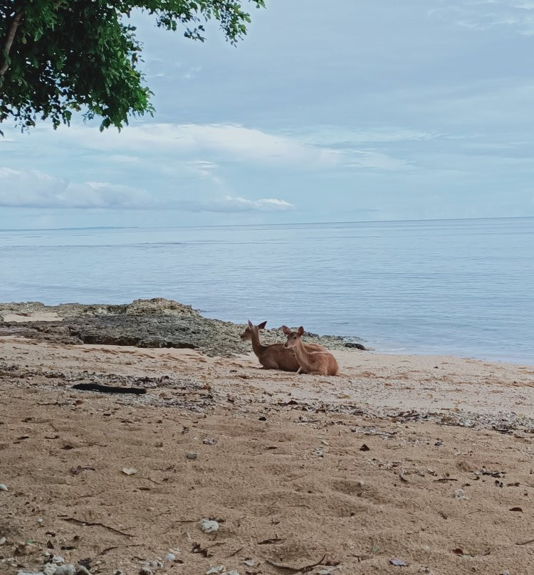 曼杰甘度假村主图