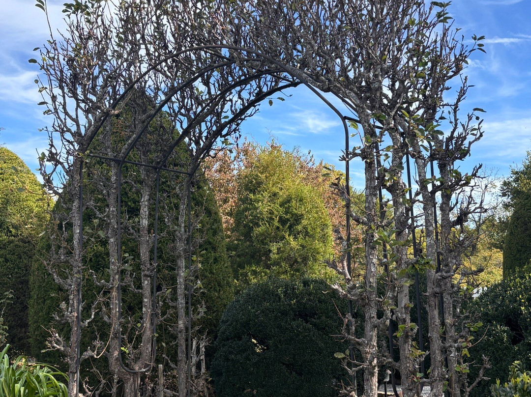 Carnton-富兰克林必去景点