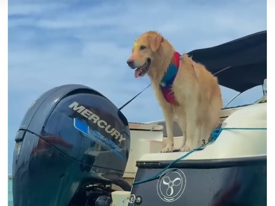 Praia De Rio Do Fogo