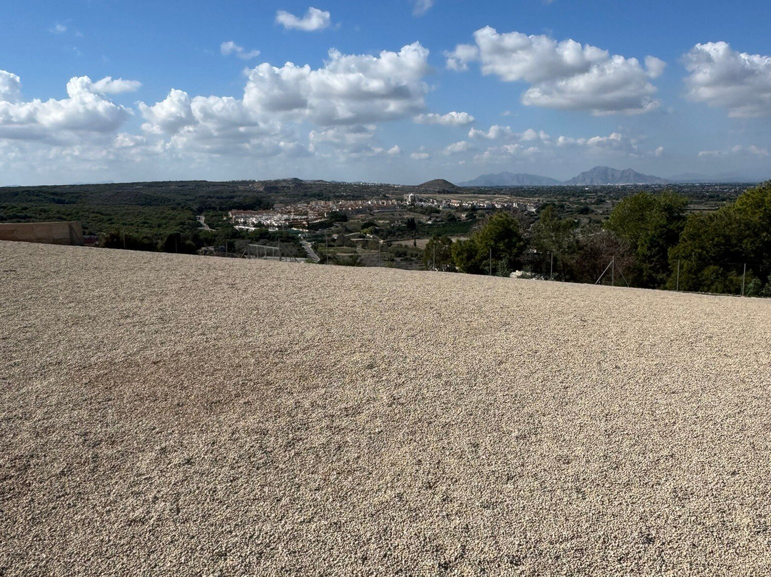 Castell De Guardamar-瓜尔达马尔德尔塞古拉必去景点
