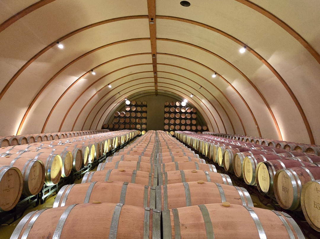 Bodega Tierra De Cubas-Carinena必去景点