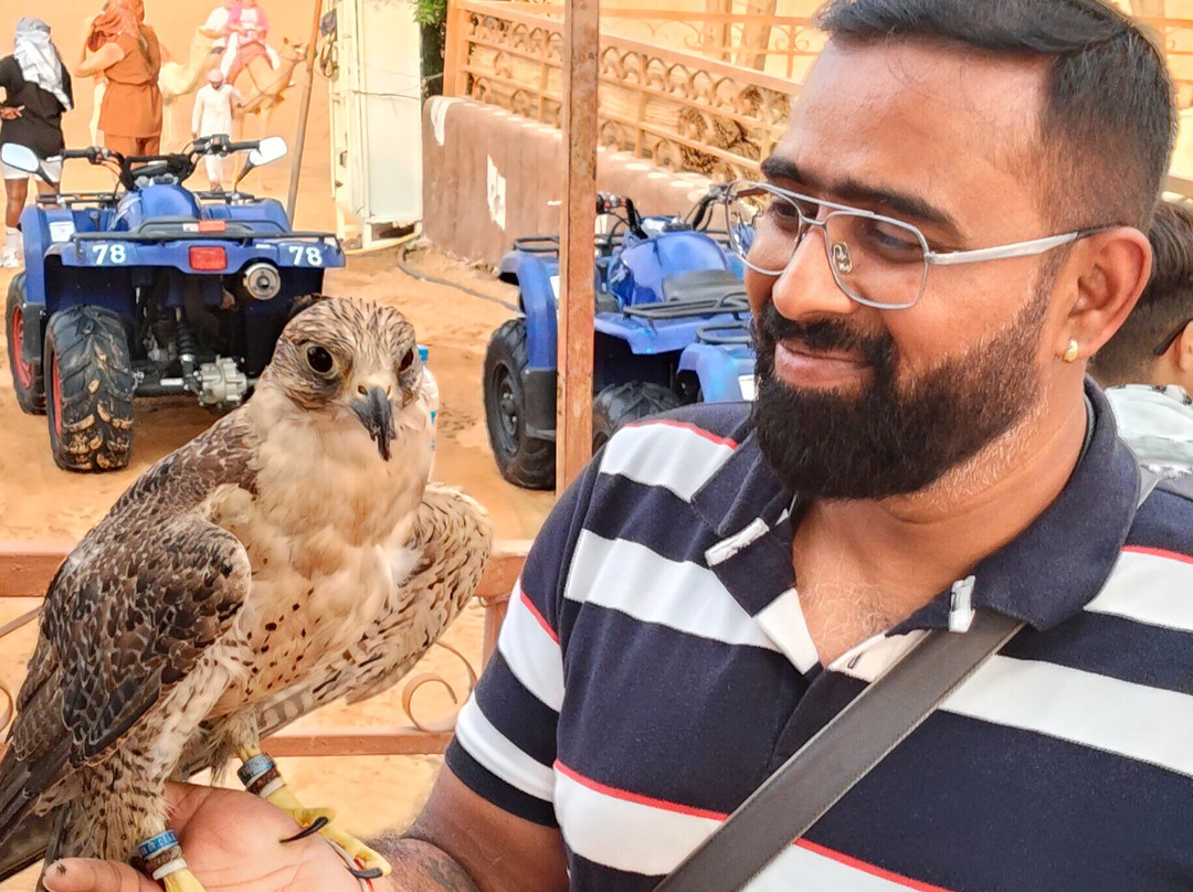 Efficient Tourism-迪拜必去景点