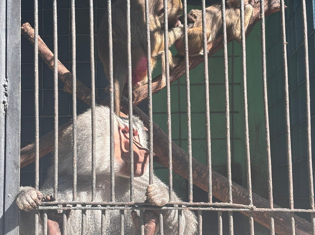 Yerevan Zoo-埃里温必去景点