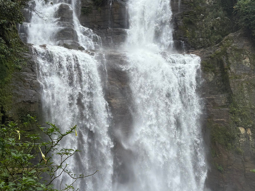 lasan lasan-Nanu Oya必去景点