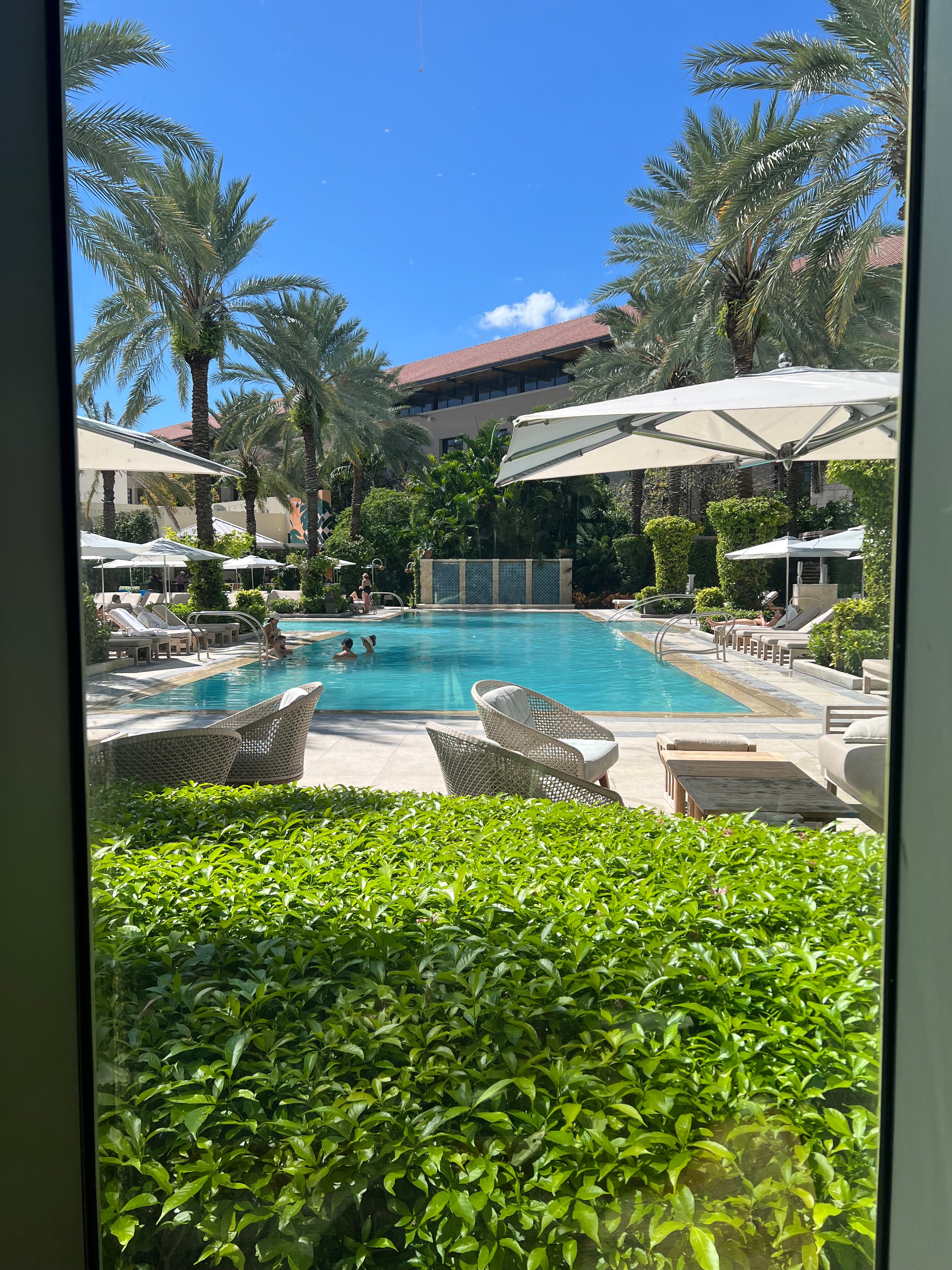 Hilton West Palm Beach-泳池