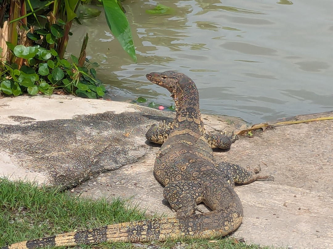 Jurassic  Fishing Park-七岩必去景点