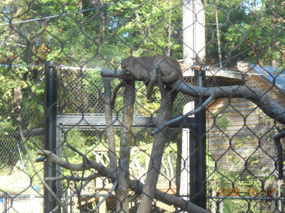 Birmingham Zoo-伯明翰必去景点