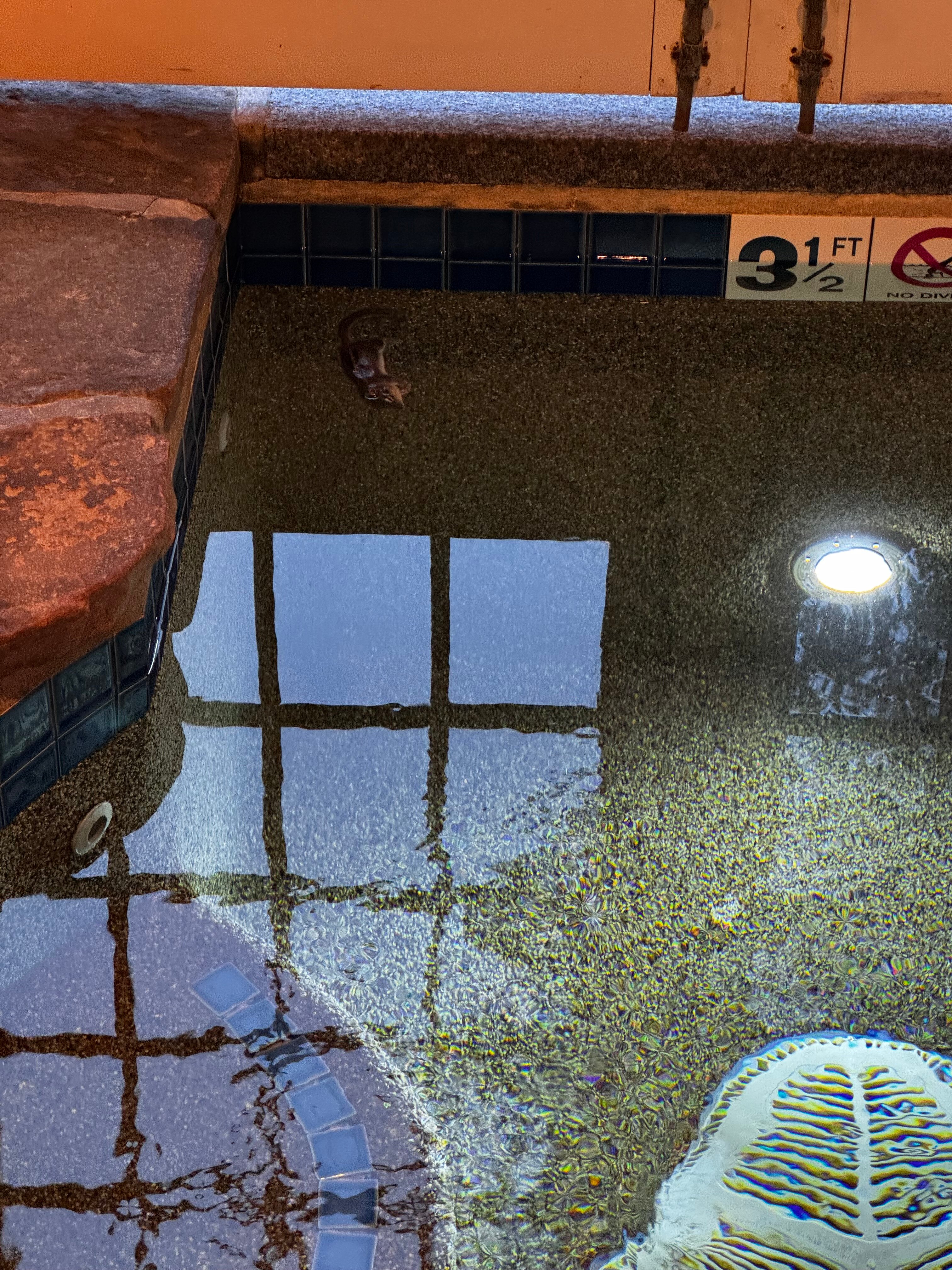 湖畔米尔瀑布酒店-官方