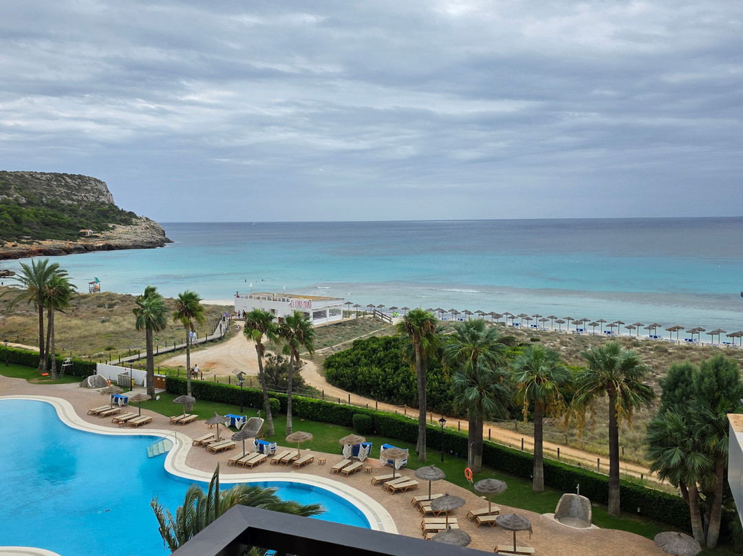 Sol Milanos Pinguinos主图