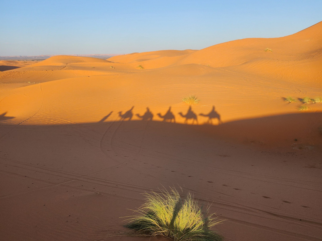 Morocco Custom Tour-卡萨布兰卡必去景点