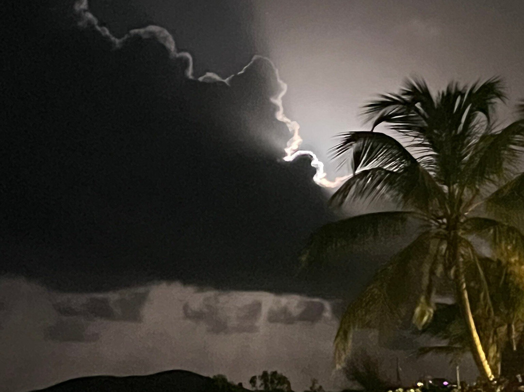 Tamarind Reef Beach-Christiansted必去景点