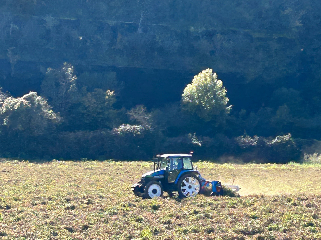 La Fageda d'en Jorda-Santa Pau必去景点