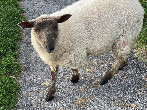 Exclusive Tours Ireland-都柏林必去景点