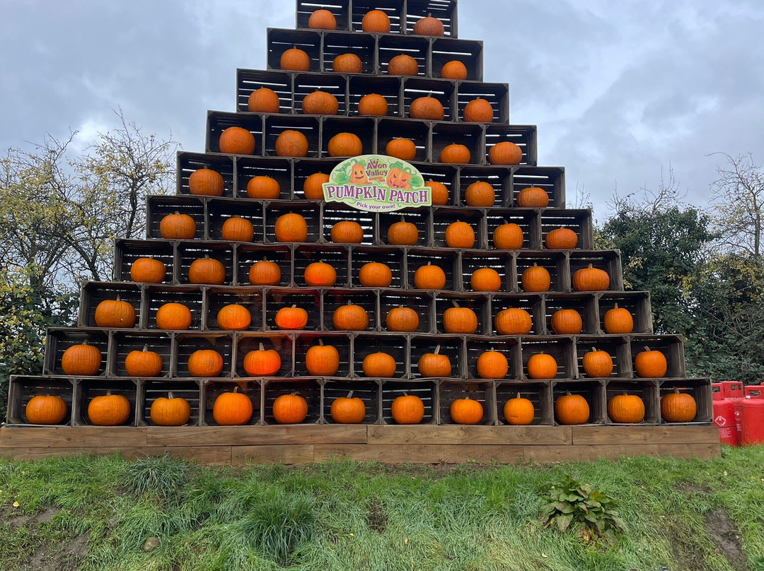 Avon Valley Adventure Park-Keynsham必去景点