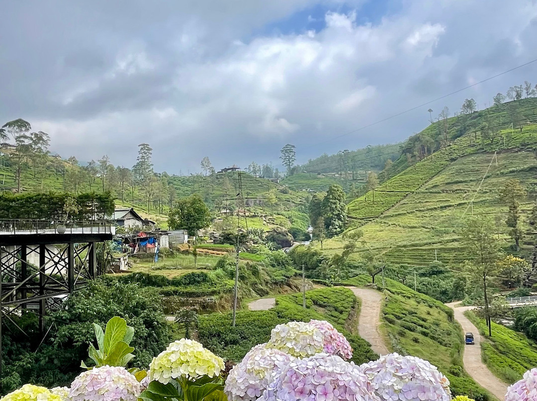Ds Kumar Tuktuk Sightseeing In Nuwara Eliya-奴娃拉伊利雅必去景点