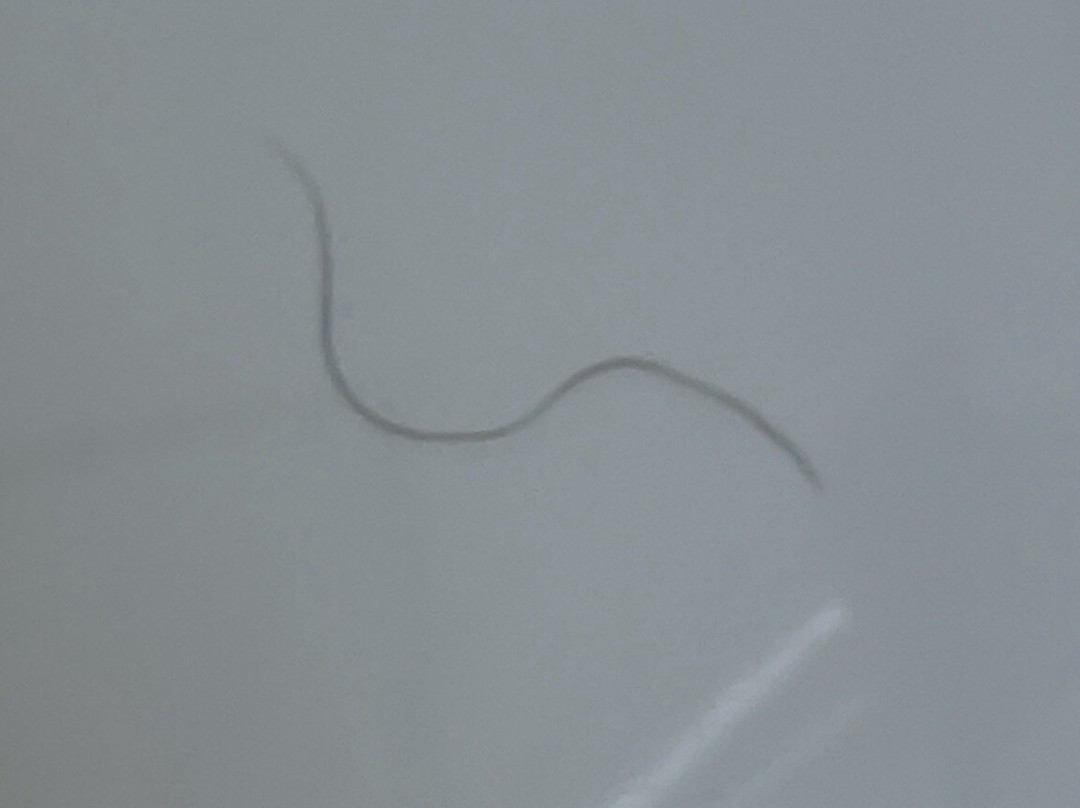 力推怀特住宿酒店主图