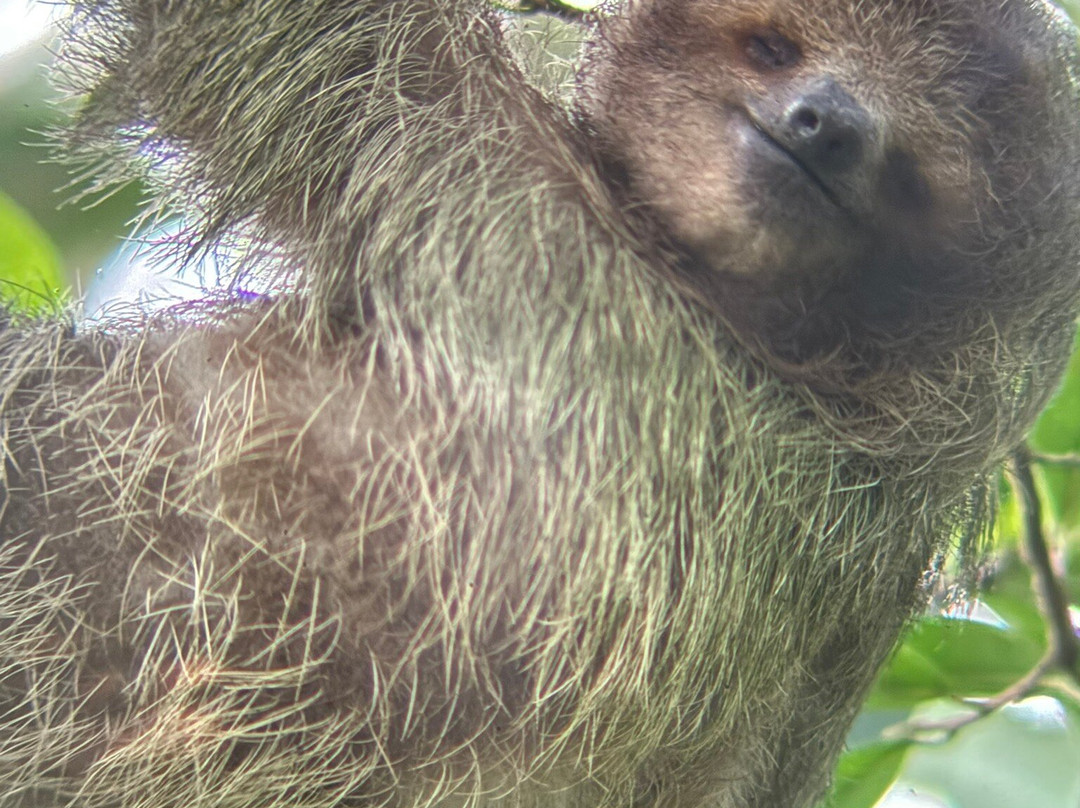 Life Time Travel-萨迪纳尔必去景点