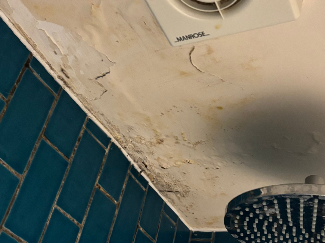 Bourne Valley Inn主图