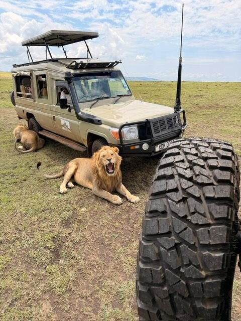 Leopard Orchid Safaris-内罗毕必去景点